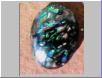 Reverse side of Yowah Nut with opal matrix