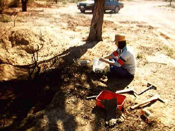 Fossicking Yowah Opal field