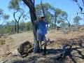 Dry Outback - bird watching