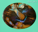 Yowah Opalised Wood