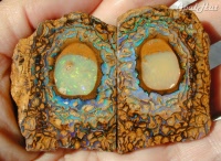 Yowah Nut Opal Specimen with Crystal Centre and Matrix Outer Shell