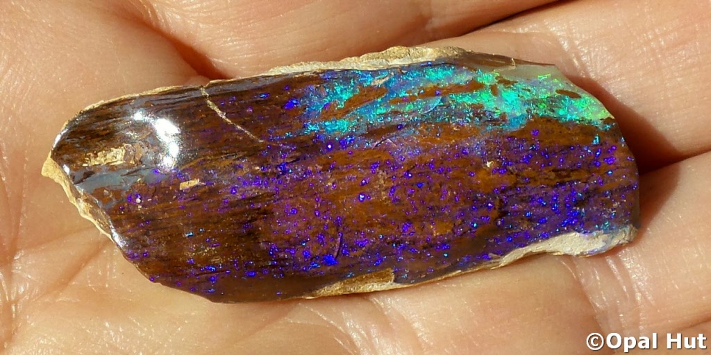 Yowah and Australian Opalised Wood