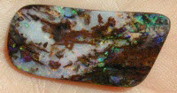 Yowah Opalised Wood