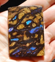 Opalised Wood in Boulder